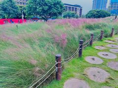 -红花山公园