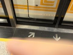 -郑州烤鸭总店