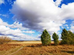 -塞罕坝国家级自然保护区