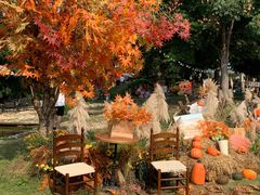 -HERRE·FARM 赫尔露营农场·团建聚会包场