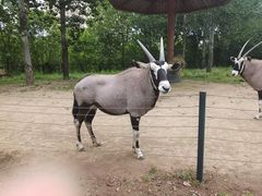 -大连森林动物园