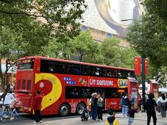 -BUS TOUR观光巴士