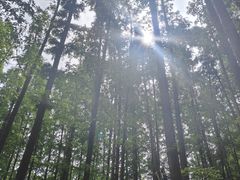 -南京金牛湖风景区