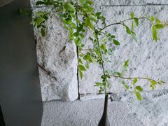 -木守西溪溪隐餐厅