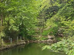 -秦岭终南山世界地质公园翠华山景区