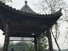 -重庆彩云湖湿地公园