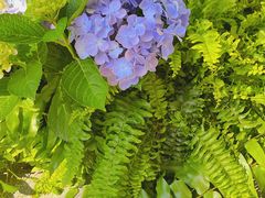 -星巴克臻选(深圳罗湖万象城店)