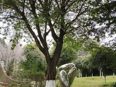 -三圣花乡旅游区