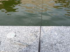 -DGE季风钓虾营地·团建·聚会
