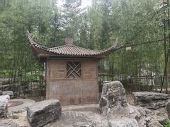 -皇家御河游(紫御湾码头)