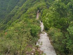 -午潮山国家森林公园