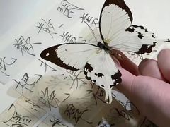 -朋友的火锅店(苏家屯店)