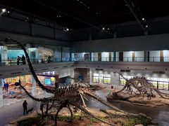 -自贡恐龙博物馆