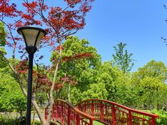 -上海交通大学(闵行校区)