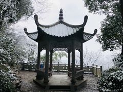 -上海佘山国家森林公园西佘山园