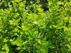 -布丁严选酒店(杭州武林西湖文化广场地铁站店)