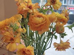 -川匠·睡眠采耳·SPA(九眼桥店)