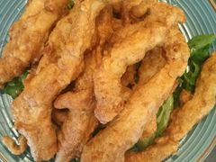 辣鸡条-萨尔瓦多Salvador's