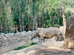 -北京野生动物园