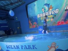 -石家庄海洋公园