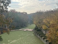 -朴园