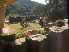 -宁波野生动物园