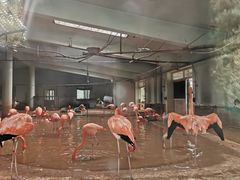 -石家庄市动物园