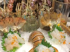 小青龙刺身-芥末日本料理(打浦路铂尔曼旗舰店)