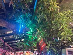 -海岛八号龙虾烧烤田鸡(蓝天路总店)