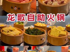 -龍歌自助小火锅(市南金茂湾店)