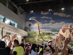 -自贡恐龙博物馆