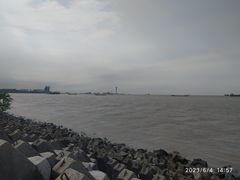 -上海滨江森林公园