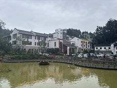 -九华山聚龙大酒店