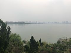 -金鸡湖桃花岛