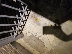 -龙巢盱眙龙虾·牛蛙·烧烤宵夜(八卦岭店)