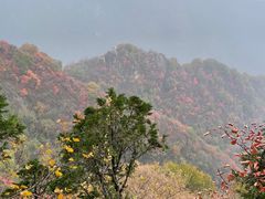 -秦岭终南山世界地质公园翠华山景区