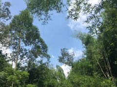 -开平碉楼文化旅游区马降龙景区