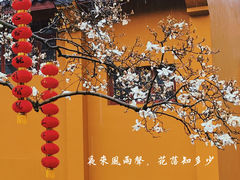 -杭州上天竺法喜讲寺