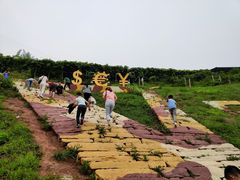 -美心红酒小镇游乐园