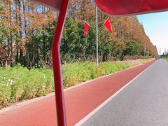 -上海长兴岛郊野公园