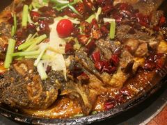 -老板恋上鱼(恒隆广场店)