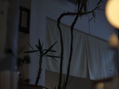 -知亘茶食