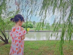 -上海佘山世茂艾美酒店