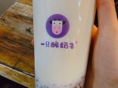 -一只酸奶牛(奎星楼店)