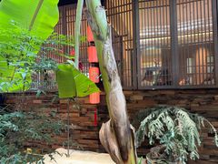 -单家老院·院子里的青岛菜(沙子口店)