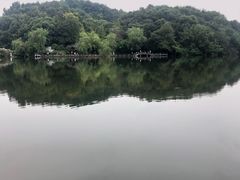 -杭州半山国家森林公园