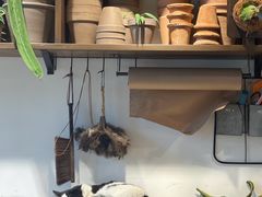 -自由生长植物工作室(深港花卉中心店)