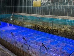 -海韵之星邮轮水会(明发商业广场店)