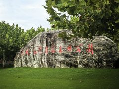 -上海海湾国家森林公园