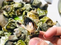 佛手螺-胖大嫂渔家排档·全海景餐厅(渔村店)